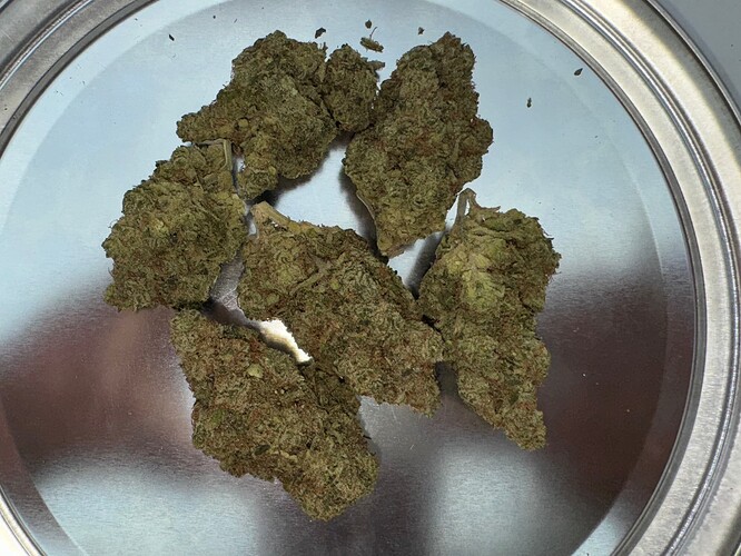 Growreport Bild 74