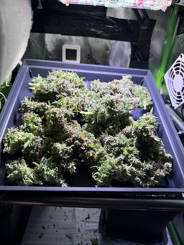 Growreport Bild 3