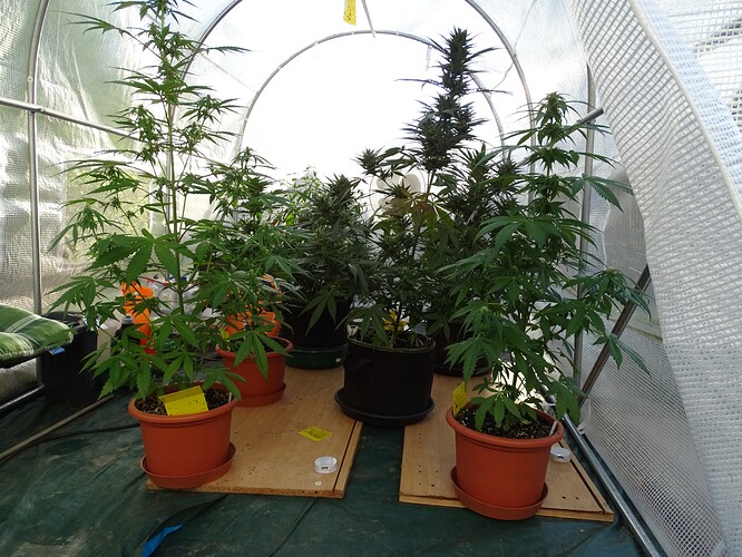 Growreport Bild 40