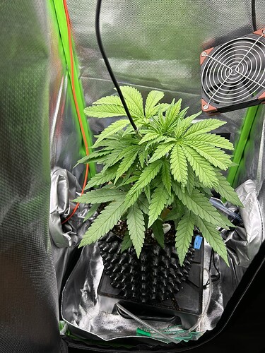 Growreport Bild 4