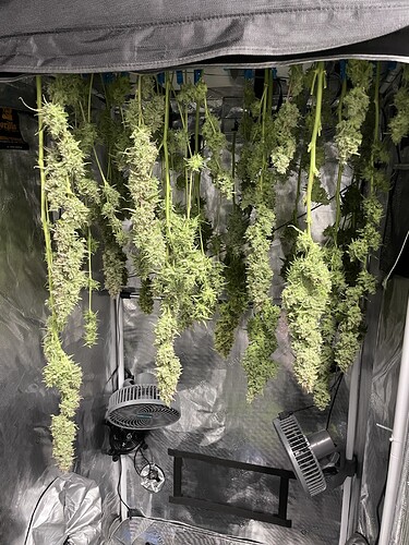 Growreport Bild 5