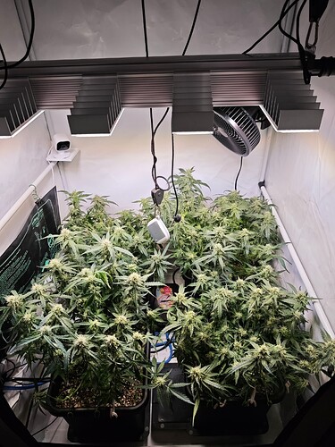 MVIMG_20251103_190359