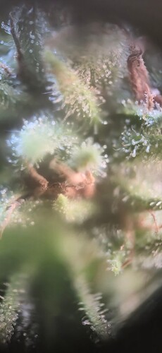 Growreport Bild 11