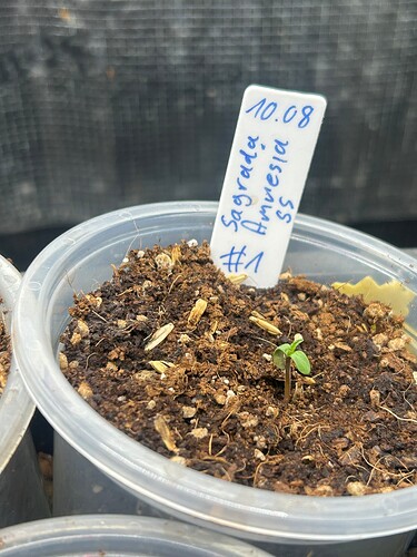 Growreport Bild 17