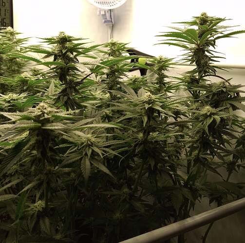 475239878_122165768930293599_5808820676213914299_n