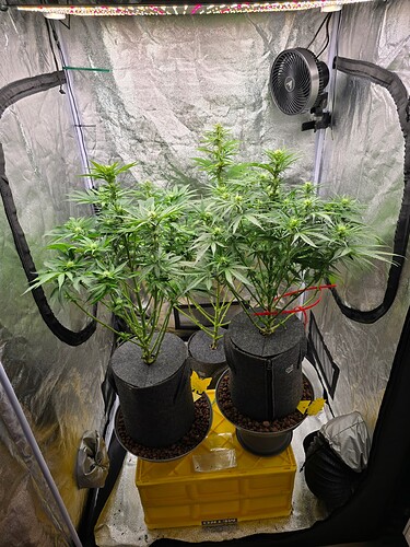Growreport Bild 1