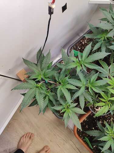 WhatsApp Image 2024-05-25 at 20.03.44