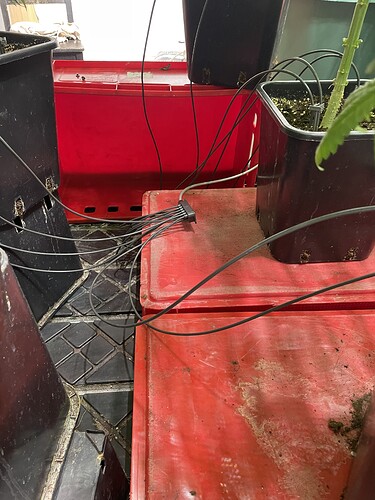 Growreport Bild 28