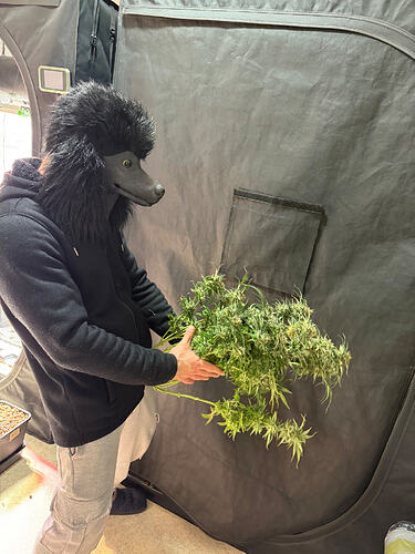 Growreport Bild 35