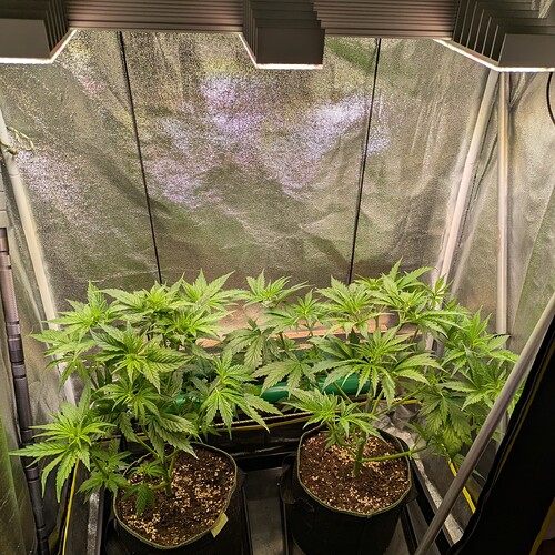 Growreport Bild 22