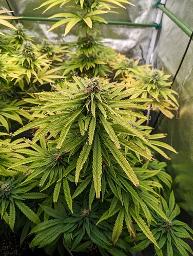 PXL_20240616_161911067