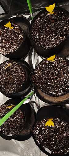 Growreport Bild 14