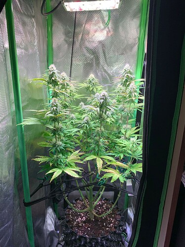 WhatsApp Bild 2025-01-04 um 19.21.24_d52e372d