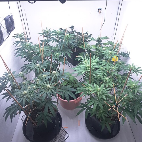 Growreport Bild 14