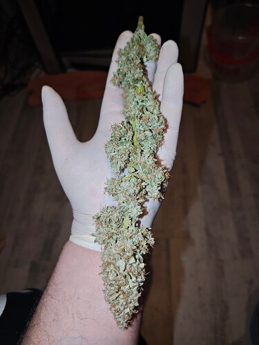 MVIMG_20251209_174926