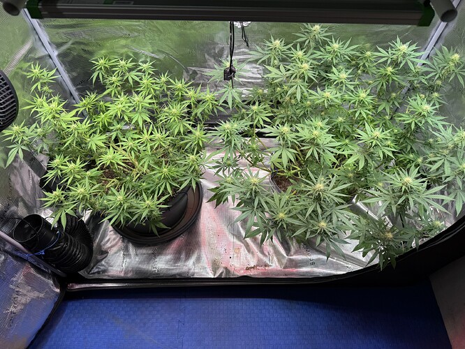 Growreport Bild 6