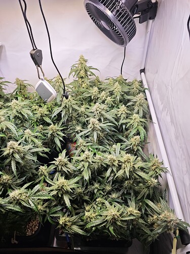 MVIMG_20251112_212305