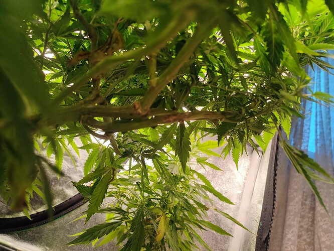 Growreport Bild 2