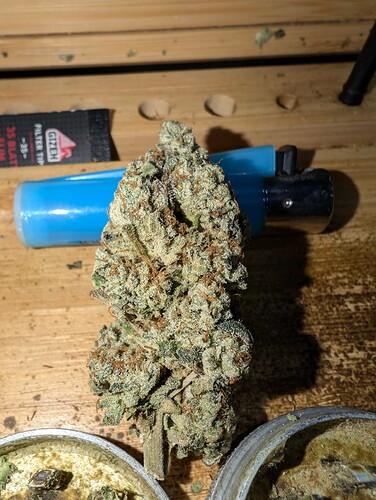 Growreport Bild 1