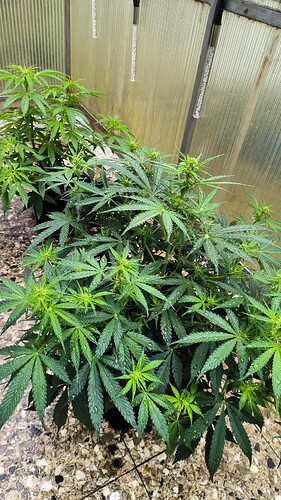 Growreport Bild 14