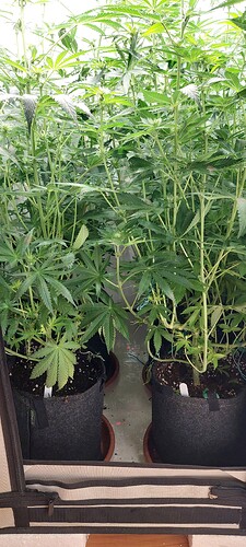 Growreport Bild 1