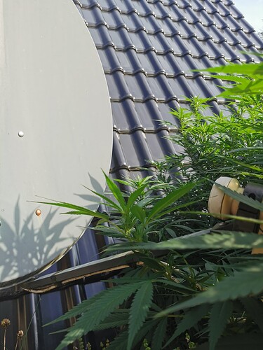 Growreport Bild 21