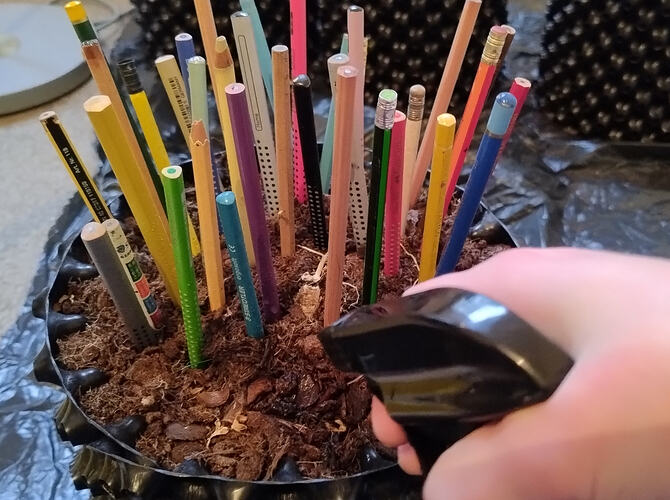 Growreport Bild 17