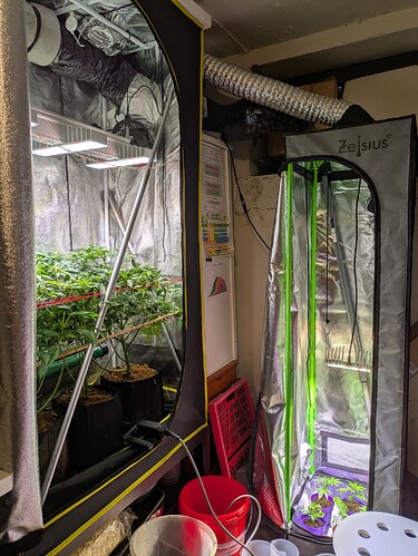 Growreport Bild 3