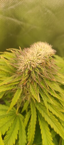 Growreport Bild 17