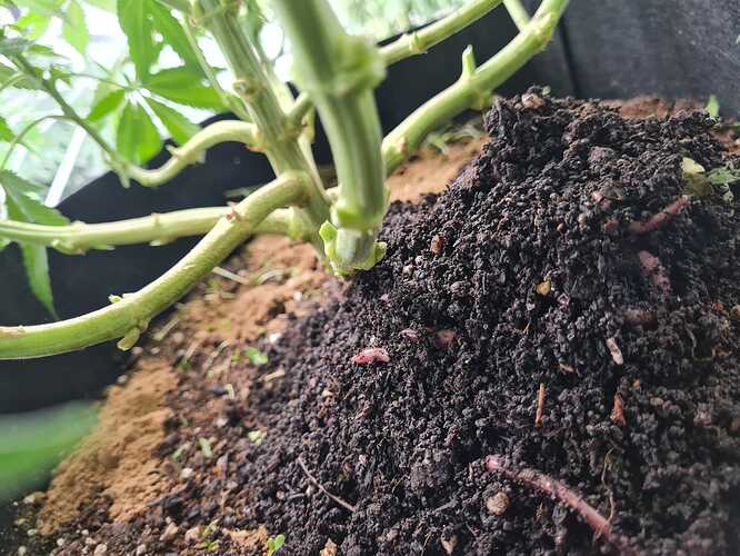 Growreport Bild 25