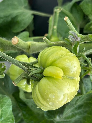 Growreport Bild 45
