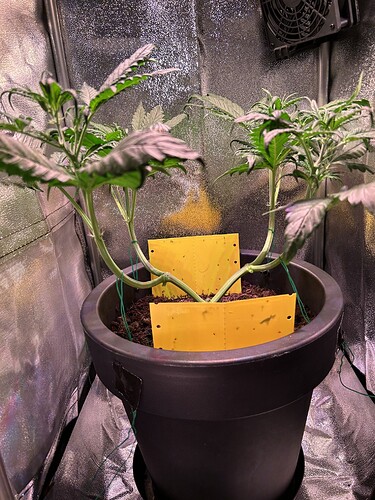 Growreport Bild 6