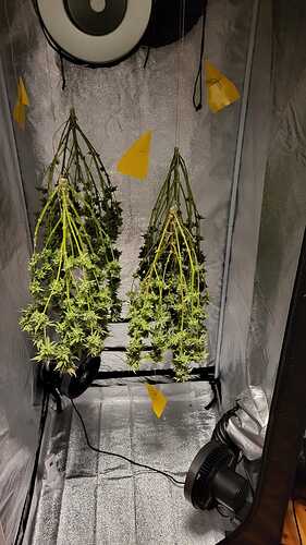 Growreport Bild 20