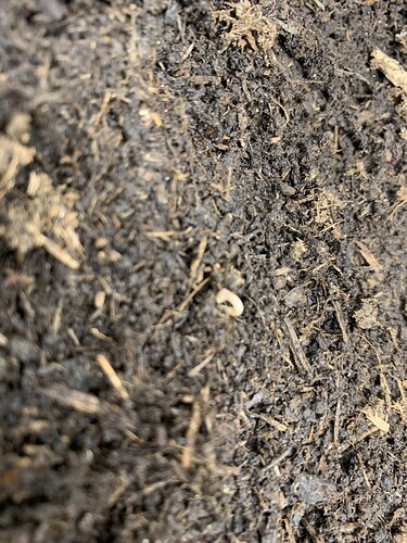 Growreport Bild 8