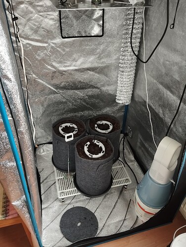 Growreport Bild 8