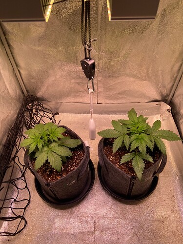Growreport Bild 10