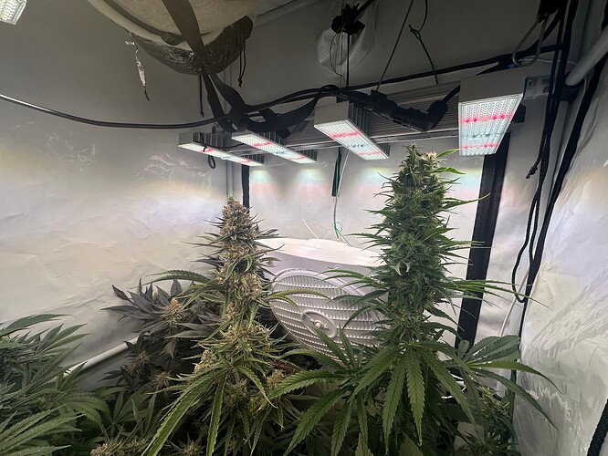Growreport Bild 1