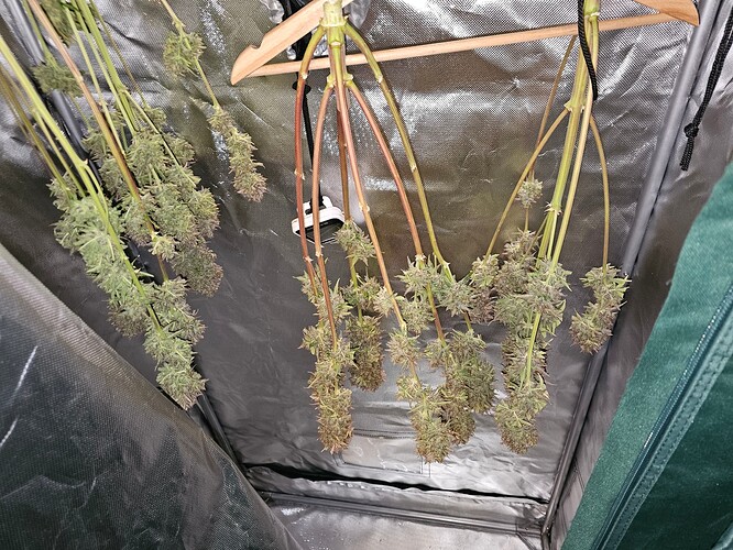 Growreport Bild 13