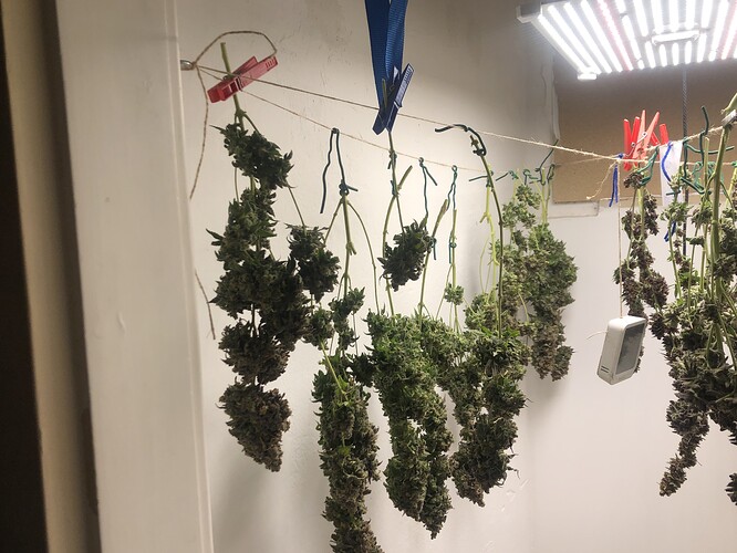 Growreport Bild 9