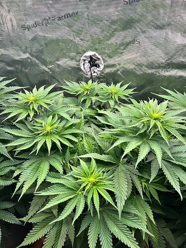 Growreport Bild 25