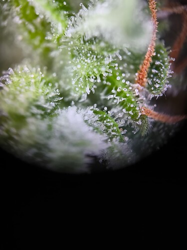 Growreport Bild 9