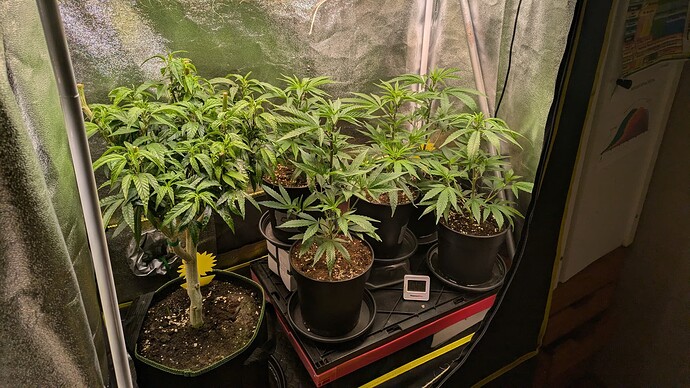 Growreport Bild 2