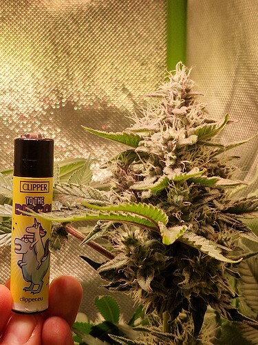 Growreport Bild 12