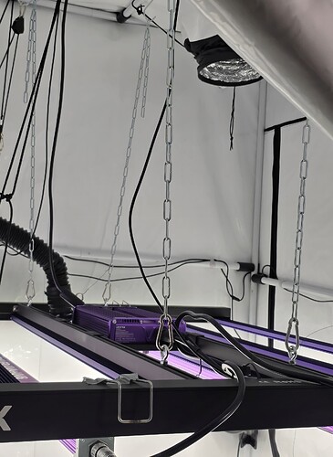 Growreport Bild 10