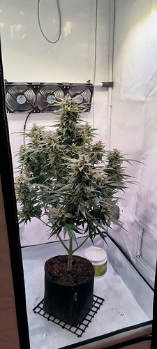 Growreport Bild 1