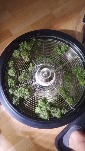 Growreport Bild 19