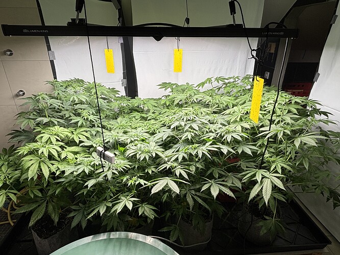 Growreport Bild 2