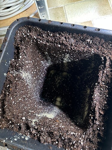 Growreport Bild 48