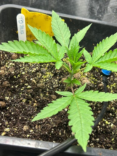Growreport Bild 23