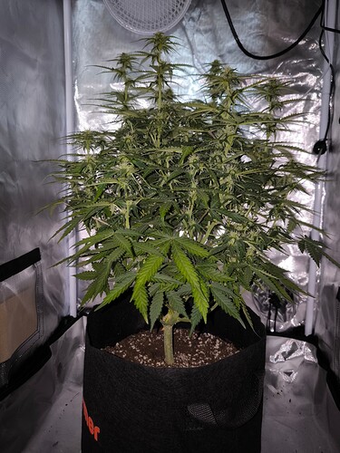 Growreport Bild 5